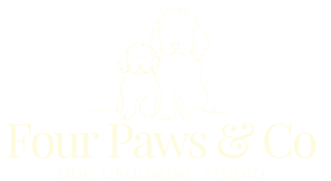 Four Paws & Co